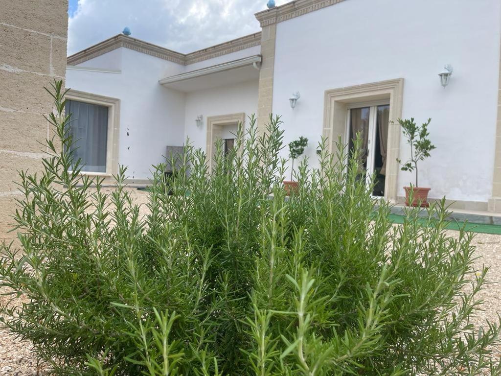 Dimora Aminidelo